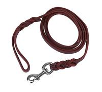 Acouto Durable Dog Training Leash for Safe Walking, Braided Cowhide (The