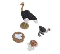 Acouto Figure de Cycle de Vie d'Autruche PVC Figure d'Autruche Jouet Cycle de Croissance Animale pour Modèle Finement Ceci Est Une L de de Vie 'autrucheFigure 'autrucheFigure ' JouetAnimal '
