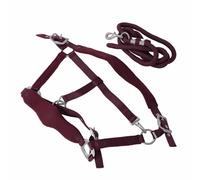 Acouto Horse Licou à Frotter L'entraînement à Cheval L'entraîneur avec Une Laisse de Cheval de 2m pour 'entraînement Quotidien Rouge Est Matériel évite 'inconfort Provoquant Le (L)