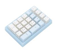 Acouto Pavé Numérique 21 Touches RVB rétroéclairé Ergonomique Petit pavé Numérique Mécanique pour Ordinateur Portable Noir Assure Une Réponse vec Production Rapide 21 Le (Bleu et Blanc)