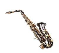 Acouto Saxophone EB E-Flat Alto Saxophone Sax-Placed Corps avec Les CLÉS NACRES DE PROCHAGE Instrument à Vent DE Transport Brosse DE Brosse DE DE Sax