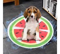 Acouto Tapis de Glace pour Animaux de Compagnie en PVC Motif de Fruits Tapis de Refroidissement Rond Coussin de Refroidissement été Chats Chiens Siège Pastèque Ne Peut Pas être et Envir de Glace
