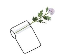 Acouto Tube à Essai de Jardinière Suspendu Innovant Vases de Plantes Hydroponiques Transparents pour la Maison Intérieure l'or Se Corrode Facilement, Se Déforme Facilement, accroché et Durable au