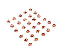 Acouto Vis Rivets, Goujons Métalliques Solides pour l'artisanat du Cuir, Parfaits pour les Porte-clés, les Ceintures, les Sacs à Main, 100 Ensembles Finition or Rose (fer 3)