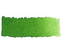 Acquarello Horadam 1/2 Godet Sr.2 512-VERT CHROME OXYDE MAT | Schmincke