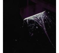 Across the Park + Sevens