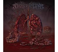 Across The Swarm - Across The Swarm-Invisible Threads