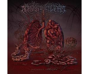 Across the Swarm - Invisible Threads