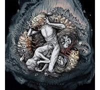 Across the Swarm - Projections [Import]