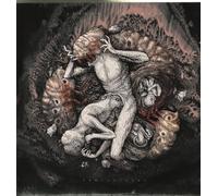 Across the Swarm - Projections [Import]