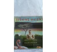 Terry Oldfield - Across The Universe