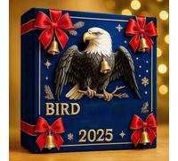 - Acrylic, 9.45x9.45in Christmas Bird Advent Ornament Set Festive Countdown | Reusable Hanging Decor Holiday Display, Tree Decoration Kit For Home, Office, Party, Christmas Tree,