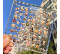 Acrylic Magnetic Seashell Display Box, 2024 New Seashell Display Box, Clear Acrylic Seashell Display Box, Small Craft Storage Organizer Box for Seashell, Bead, Nail, Jewelry, 64 Grids