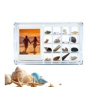 Acrylic Seashell Display Box - Transparent Storage Case, Conch Cabinet | Magnetic Closure Clear Collection Organizer for Home Living Room Bedroom Bookshelf Decor Usage