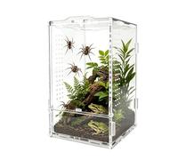 Acrylic Spider Enclosure, Jumping Spider Habitat Terrarium, Multi Display Case for Tree Frog Praying Mantis Small Pets, Ventilated Viewing Container, Transparent Rearing Box for Home Office