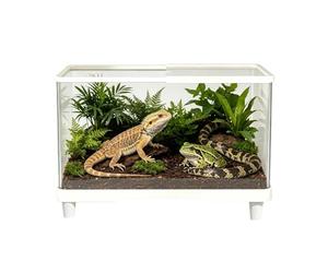 Acrylic Terrarium, Escape Proof, 15.75x8.27x9.06 Inch Clear Ventilation Keeper, Reptile Enclosure Box, Pet Accessories, Best Usage Accessory for Bearded Dragon Leopard Gecko Hermit Crab Indoor Habitat