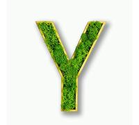 Acryltypo Moosly® Lettre en bois - Y - Avec cadre en bois - Lettres décoratives en mousse - Lettre en bois avec véritable mousse d'Islande - Décoration murale pour le salon
