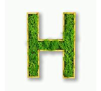 Acryltypo Moosly® Lettre H en bois - Avec cadre en bois, mousse, décoration, symbole - Lettre en bois avec véritable mousse d'Islande - Décoration murale pour le salon