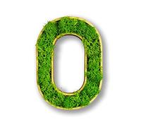 Acryltypo Moosly® Lettre O en bois - Avec cadre en bois - Lettres décoratives en mousse - Lettre en bois avec véritable mousse d'Islande - Décoration murale pour le salon