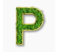 Acryltypo Moosly® Lettre P en bois - Avec cadre en bois, mousse, lettres décoratives et symbole - Lettre en bois avec véritable mousse d'Islande - Décoration murale pour le salon