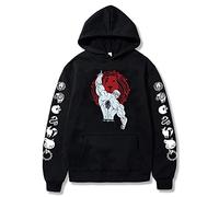 acsefire The Seven Deadly Sins Hoodie Escanor Hoodies Lion's Sin of Pride Escanor Sweat Casual Harajuku Pull pour Hommes Femmes Ados