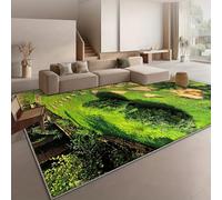 acsewater Grand Tapis Salon Tapis 3D Lavable en Machine Velours De Cristal Antidérapant avec Effet Visuel 3D Stupéfiant Durable Doux Perfect pour Décoration Maison en Taille 80 x 120cm
