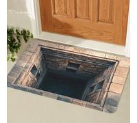acsewater Tapis de Porte 3D Illusion Porte d'intérieur à Illusion d'optique pour entrée arrière et Avant, Tapis sans Fond pour Chambre à Coucher
