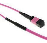 ACT 25 meter Multimode 50/125 OM4(OM3) polarity A fiber trunk cable with MTP/MPO female connectors 25M MTP(F) 50/125 OM4 PA TR (DC5000)