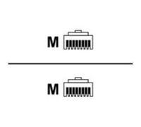 ACT component level - cordon de raccordement - 1.5 m - noir, RAL 9011 G
