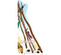 ACTES SUD JUNIOR Cabane