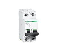 miniature circuit breaker - C60H - 2 poles - 2 A -