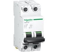 Acti9 C60H-DC - disjoncteur modulaire - 2P - 2A - C curve G