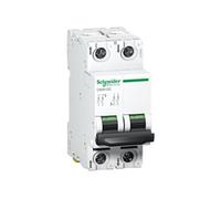 Acti9 C60H-DC - disjoncteur modulaire - 2P - 63A - C curve