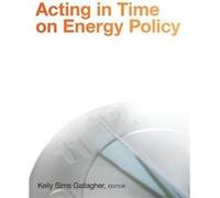 Acting in Time on Energy Policy