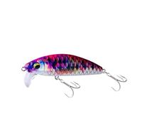 ACTINPANT Leurre de pêche Artificiel Dur coulant Type Minnow, appât Artificiel idéal for la pêche à la Truite ou au crankbait, 60 cm, 12 g, 7 cm, 18 g(02,60mm 12g)