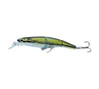 ACTINPANT Leurre de pêche au vairon 16,3 g 10,5 cm à Sections Multiples articulées, leurre Dur Artificiel for Bar, pêche à la traîne, brochet, Carpe(06)