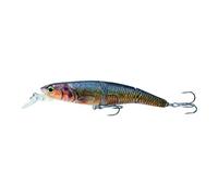 ACTINPANT Leurre de pêche au vairon 16,3 g 10,5 cm à Sections Multiples articulées, leurre Dur Artificiel for Bar, pêche à la traîne, brochet, Carpe(07)