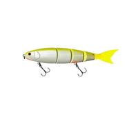 ACTINPANT Leurre de pêche Flottant et coulant articulé de 170 mm à 200 mm, leurre Rigide géant for Gros appâts, Bar, brochet(F-170mm 38g-Color-03)