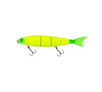 ACTINPANT Leurre de pêche Flottant et coulant articulé de 170 mm à 200 mm, leurre Rigide géant for Gros appâts, Bar, brochet(S-170mm 40g-Color-05)