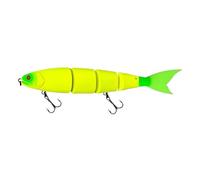 ACTINPANT Leurre de pêche Flottant et coulant articulé de 170 mm à 200 mm, leurre Rigide géant for Gros appâts, Bar, brochet(S-200mm 66g-Color-05)