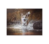 Action sur l'eau avec Le Welsh Corgi Molly，1000 Pièces Puzzle en Bois Intéressant Puzzle défi Cérébral pour Les Femmes Jouets De Décompression（75x50cm）-AO37