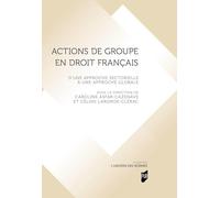 Actions de groupe en droit français: D'une approche sectorielle à une approche globale