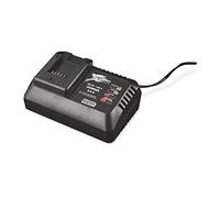 Activ Energy Chargeur de Batterie, Universel, pour Outils de Jardinage sans Fil Ferrex