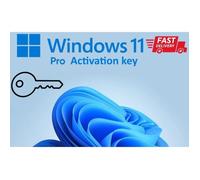 Clé d'activation - Microsoft - Windows 11 Pro - 1 PC - Livraison rapide par mail - Français