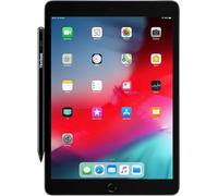 Active STYLUS PEN 9.1XL167MM 4096 Presse 2 BOTT.APPLE COMPAT.