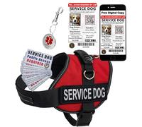 ActiveDogs Kit personnalisé pour chien avec gilet, étiquettes, carte d'identité + gilet rouge pour chien d'assistance | Petite circonférence de 48,3 à 61 cm - Kit idéal pour le soutien de service, les