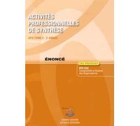 Activites Professionnelles de Synthese, tome 2 : Cas pratiques BTS CGO Comptabilité et gestion des organisations
