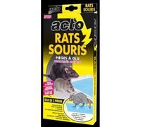 ACTO | PIÈGES À GLU Pour capturer les rats, les souris et de nombreux nuisibles rampants (serpents, scorpions, blattes…). |GLU1