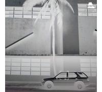 Actress Karma & Desire (Vinyl) 12" Album