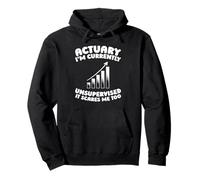 Actuaire Assurance Statistique Mathématiques - Actuaire Sweat à Capuche